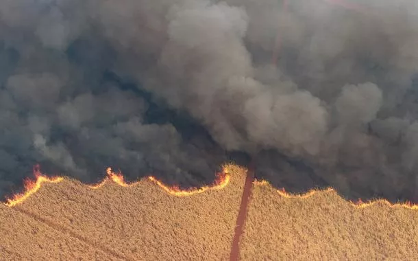 Polícia Federal abre 33 inquéritos sobre incêndios, investiga possível ação coordenada em SP e possível envolvimento do PCC