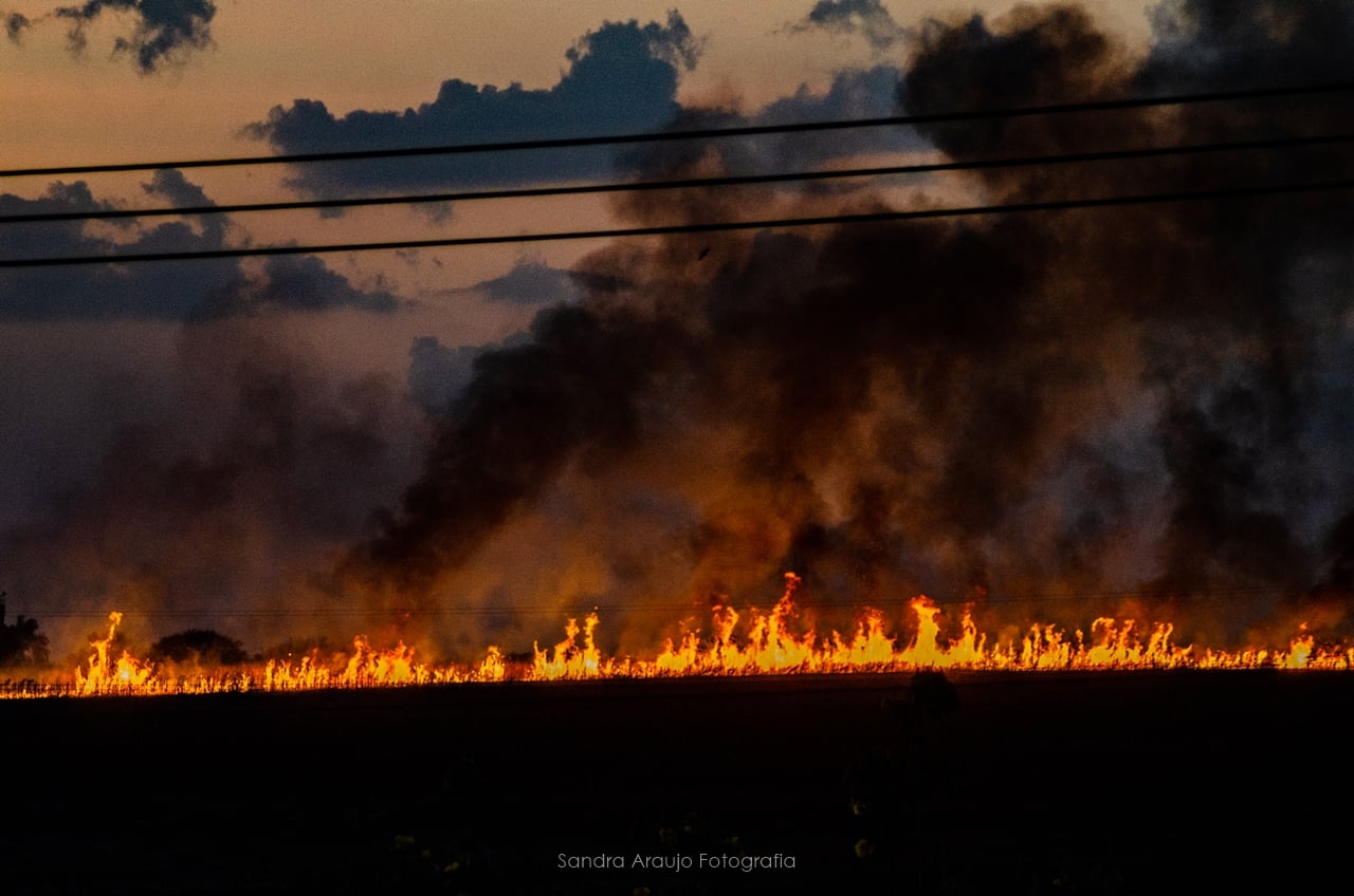 Incêndios em São Paulo fecham estradas e cobrem cidades com fumaça. Conheça a crise e como o governo está reagindo.