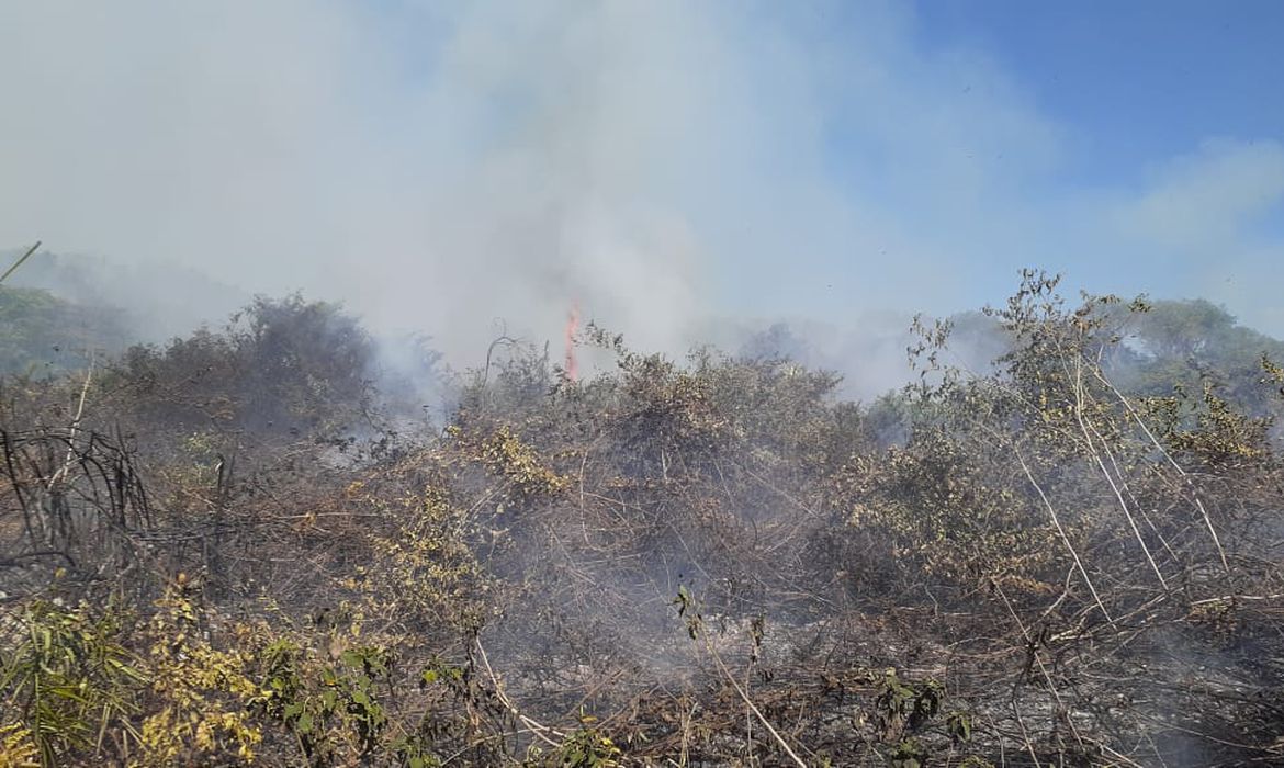 PF investiga incêndios no Pantanal que causaram prejuízos de R$ 220 milhões. Descubra os detalhes da Operação Prometeu