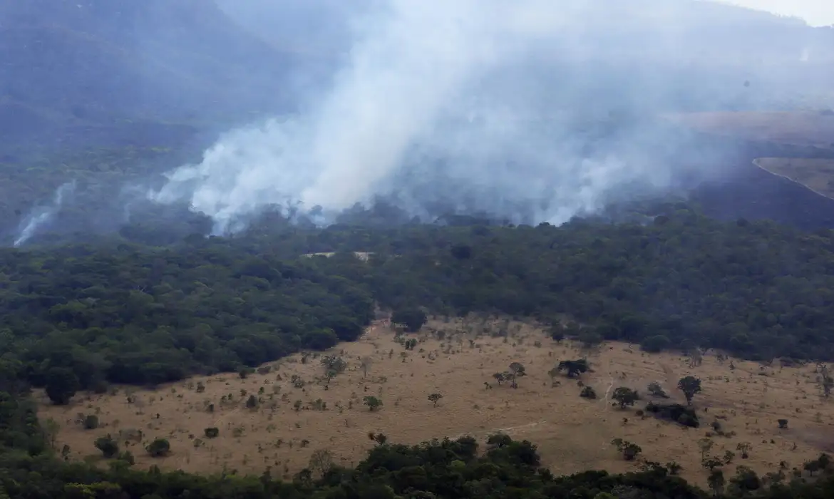 Incêndio devastador no Parque da Chapada dos Veadeiros atinge 10 mil hectares