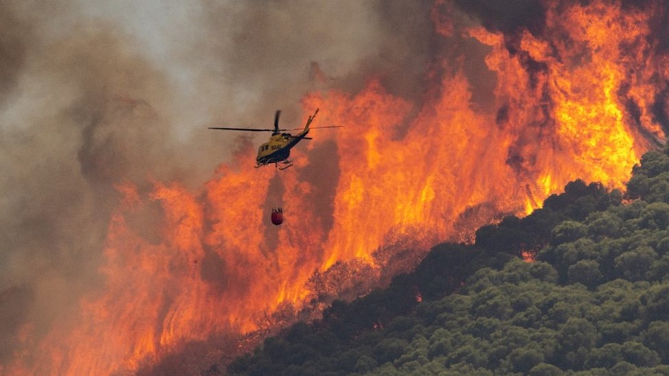 Portugal enfrenta uma crise de incêndios florestais; 15 focos ativos e ajuda da Europa são essenciais para controlar a situação