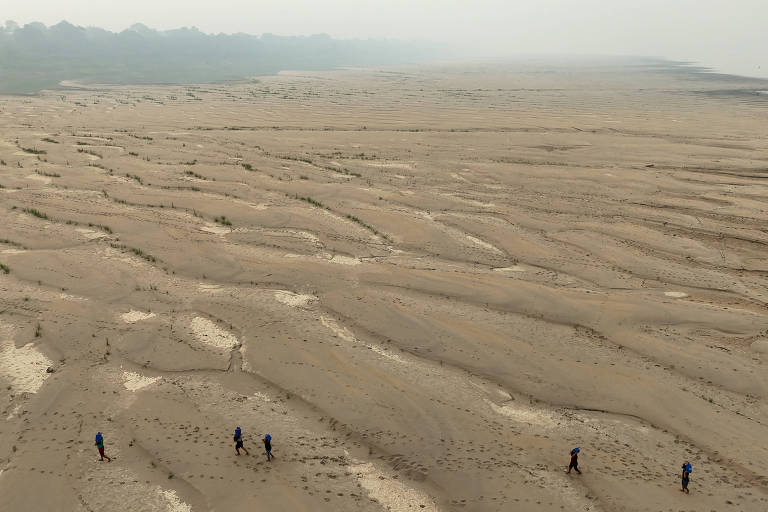 Bacias de hidrelétricas no Brasil enfrentam o solo mais seco em 20 anos; saiba como isso impacta o abastecimento de energia e as tarifas