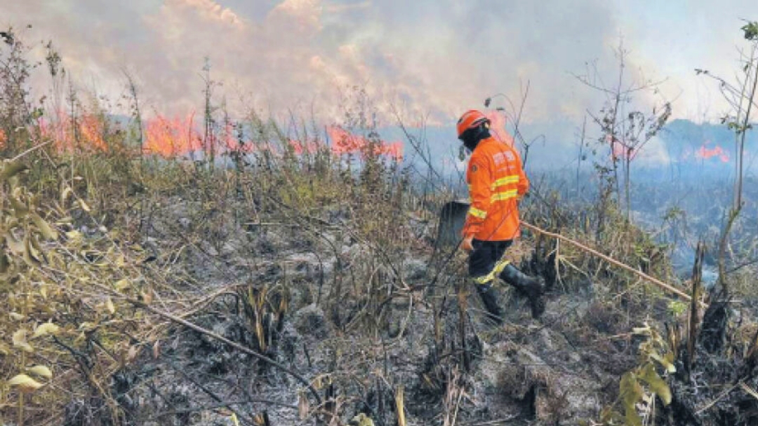 Crise de seca e incêndios no Brasil: governo atua com medidas emergenciais para enfrentar a situação crítica