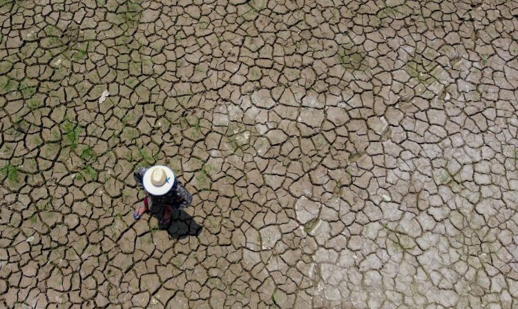 Prefeitura de Manaus decreta emergência devido à seca severa no Rio Negro e implementa ações para ajudar comunidades ribeirinhas