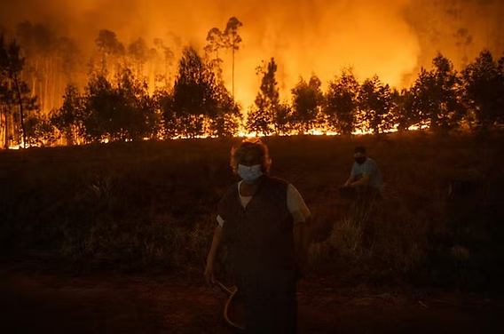 Descubra como a Polícia Federal combate incêndios criminosos e desmatamento no Pantanal. Informações essenciais sobre a operação