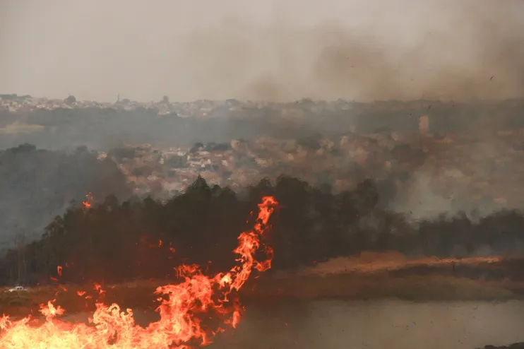 São Paulo enfrenta incêndios em 13 cidades. Saiba tudo sobre as ações emergenciais, a previsão do tempo e os impactos ambientais