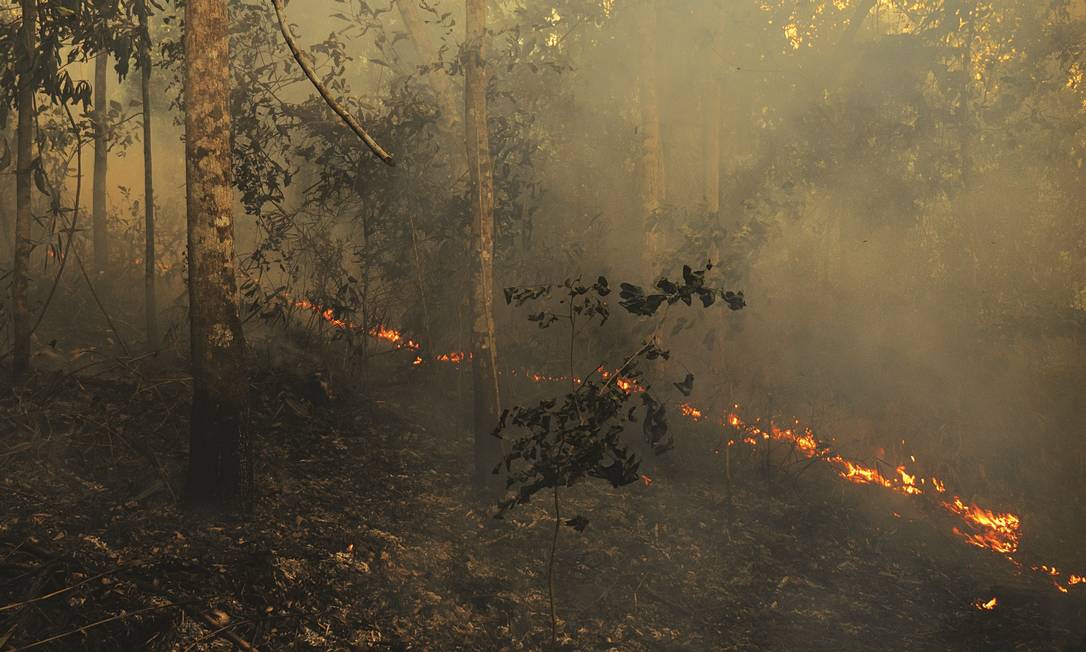 São Paulo enfrenta 11 focos de incêndio florestal; 5 já foram controlados. Confira a situação climática e as previsões para os próximos dias