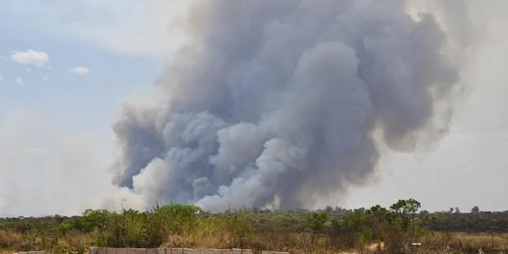 Incêndio no Parque Nacional de Brasília consome 700 hectares e provoca crises de qualidade do ar. Descubra os detalhes e impacto dessa tragédia ambiental