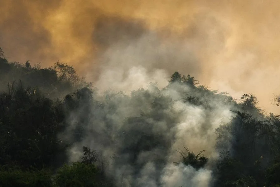 Força Nacional do SUS amplia apoio a estados com queimadas; Acre, Amazonas e Rondônia recebem equipes para avaliação e suporte