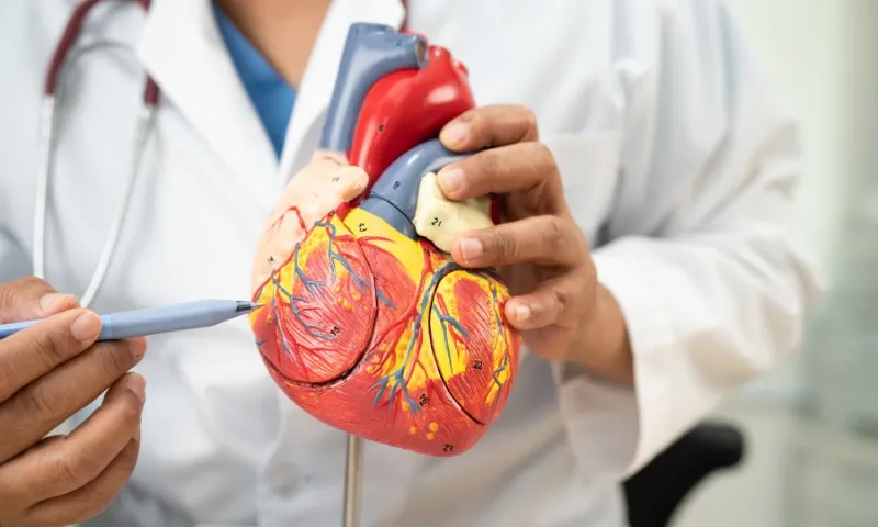 Celebre o Dia Mundial do Coração e aprenda a cuidar da sua saúde cardiovascular com dicas e orientações essenciais