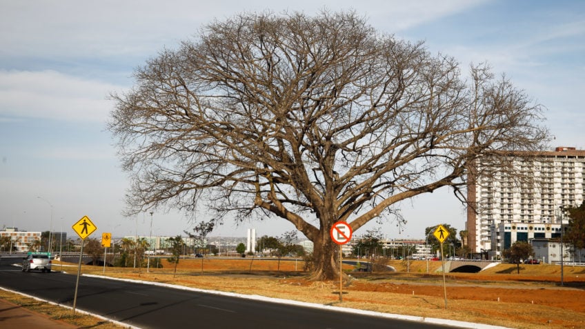 Alerta laranja de seca para 12 estados e DF: saiba os riscos e como se proteger dessa baixa umidade extrema