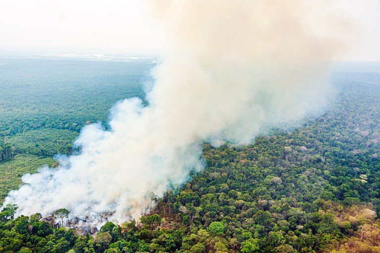 Governo libera R$ 514 milhões para enfrentar incêndios no Brasil. Novas medidas e suspeitas de origem criminosa estão em pauta