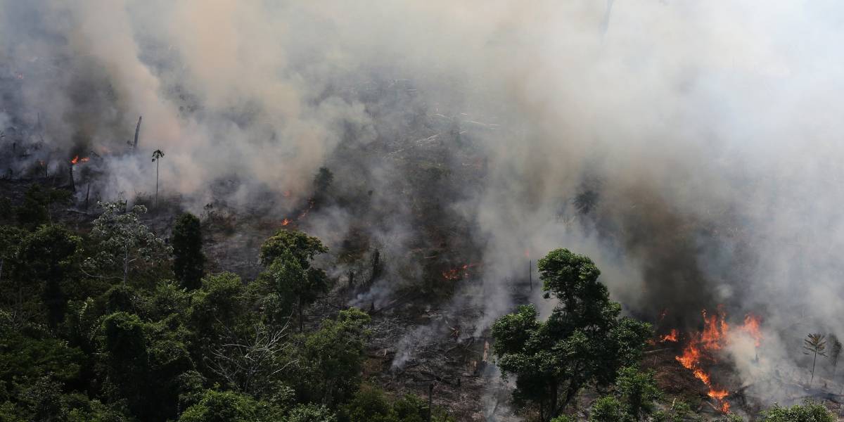 Incêndios na Amazônia brasileira atingem o maior nível em 14 anos; seca recorde e El Niño são fatores principais.