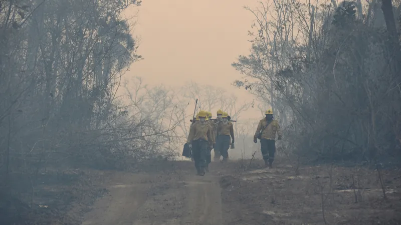 Brasil envia equipe de bombeiros para combater incêndios na Bolívia e proteger o Pantanal