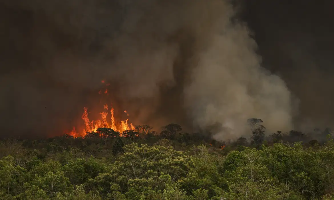 Incêndios no Brasil já afetaram mais de 11 milhões de pessoas. Entenda os impactos e as ações propostas para combater a crise climática