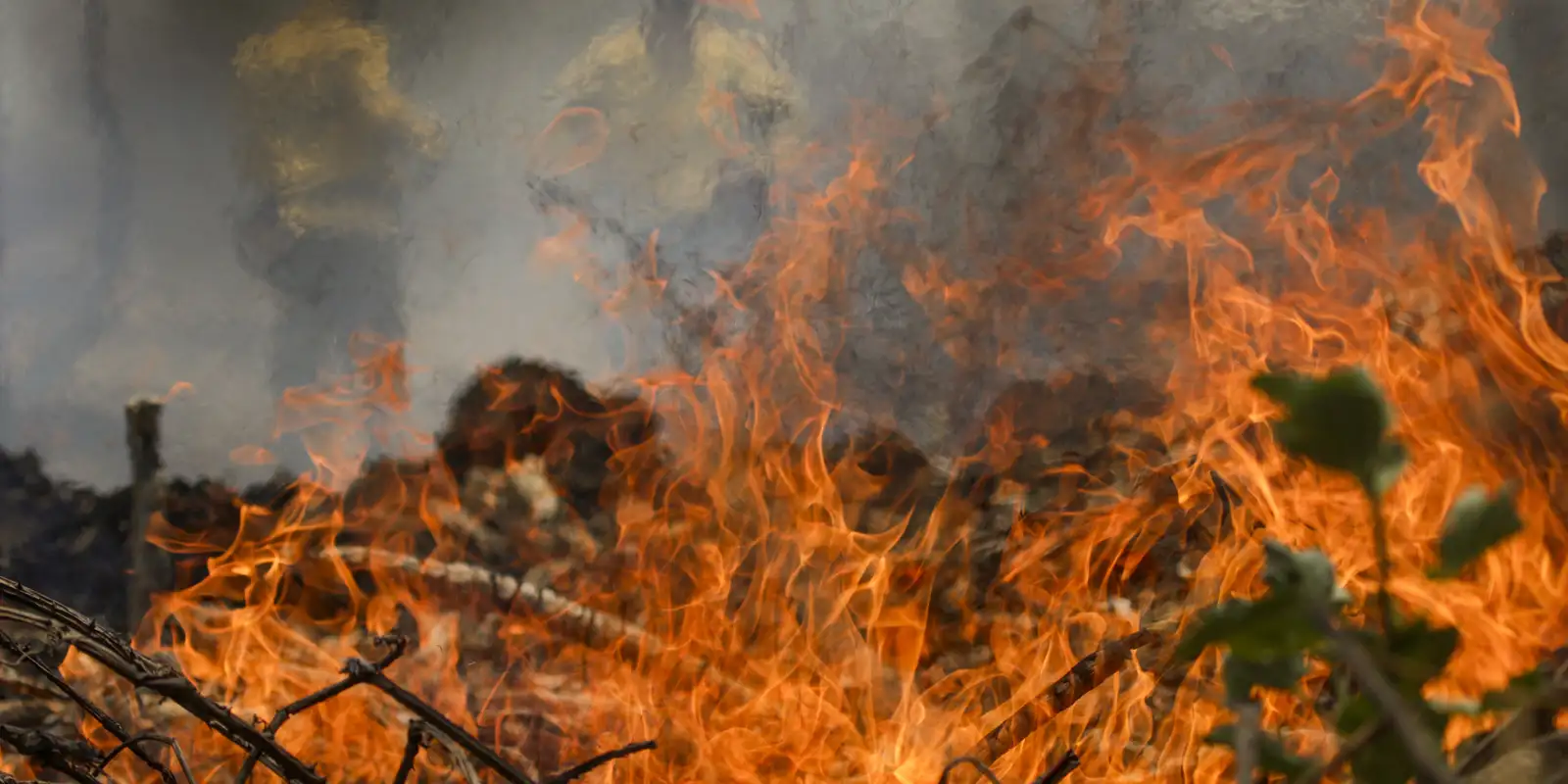 Incêndios no Brasil devastam 11,4 milhões de hectares em 2024. Descubra os impactos e as áreas mais afetadas neste artigo detalhado