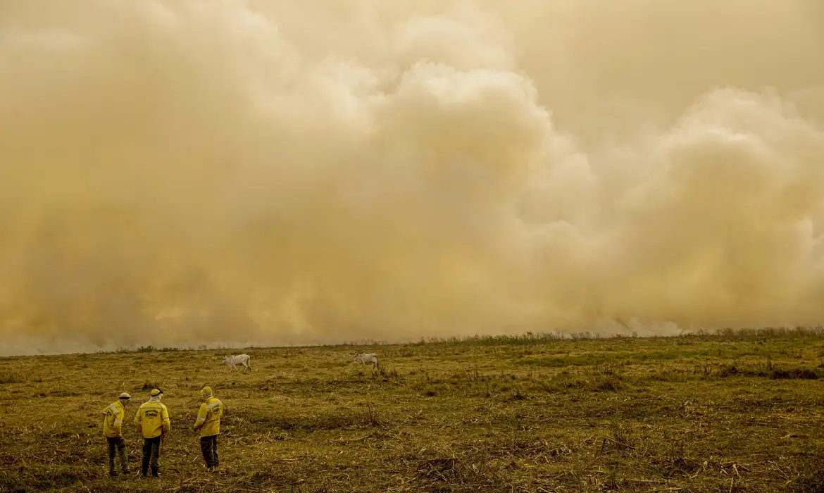 Queimadas e seca devem impactar os preços de alimentos, energia e combustíveis no Brasil, afetando o bolso do consumidor