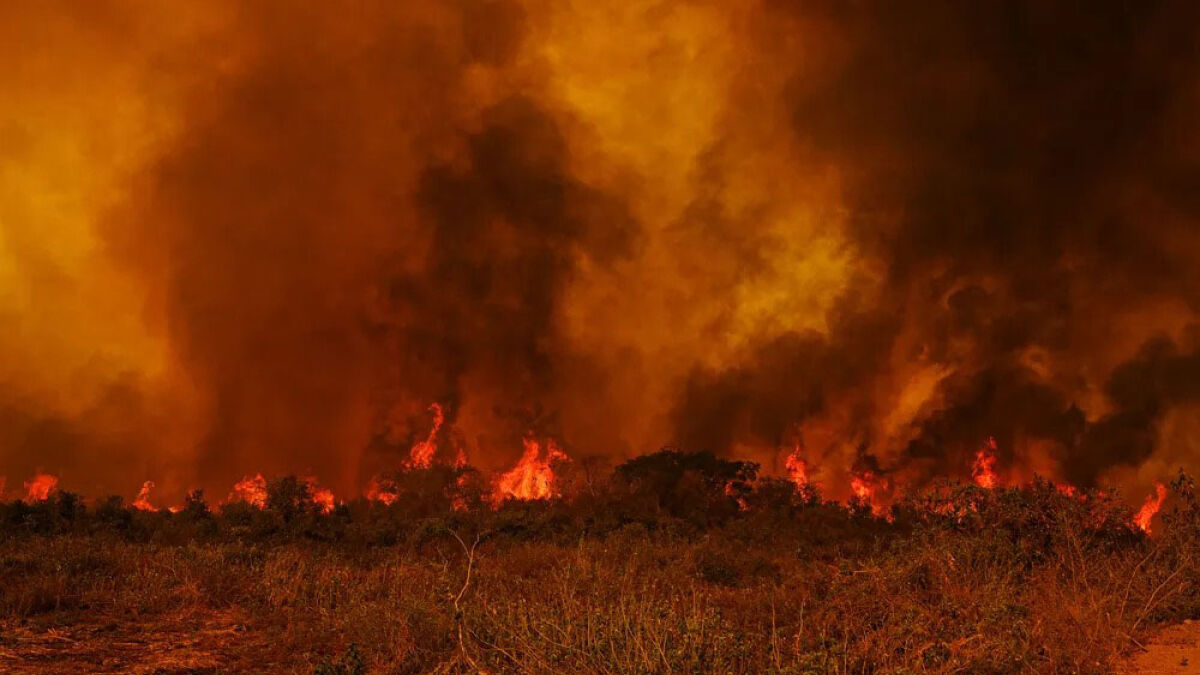 PF intensifica a luta contra os incêndios criminosos no Pantanal com a Operação Arraial São João