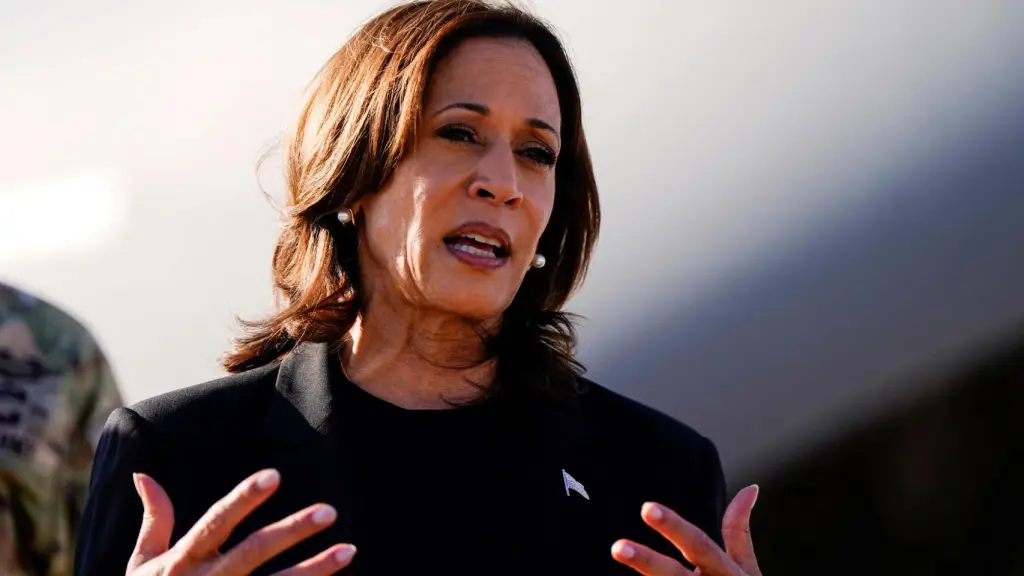 Kamala Harris surpreende ao defender o porte de armas