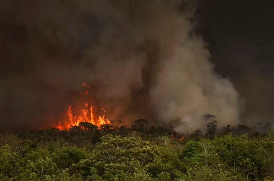 Descubra detalhes sobre o incêndio na Área de Proteção Ambiental do Planalto Central e as ações da PF para identificar os responsáveis