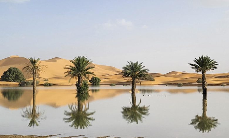 Enchente rara no deserto do Saara traz mudanças climáticas inesperadas; descubra os impactos dessa tempestade