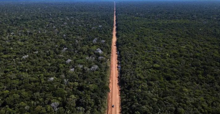 TRF derruba liminar sobre a BR-319; ambientalistas alertam para riscos de desmatamento na Amazônia