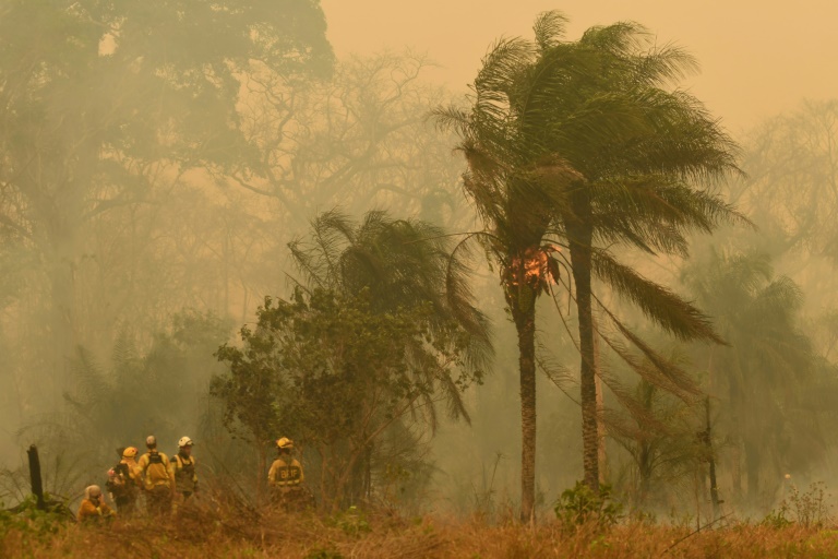 Incêndios florestais na Bolívia atingem níveis recordes, impactando milhões de hectares e causando um desastre ambiental sem precedentes