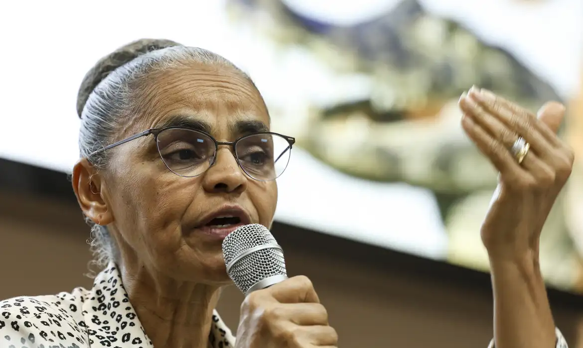 Ministra Marina Silva destaca a importância da iniciativa privada na prevenção de incêndios no Brasil. Descubra como contribuir