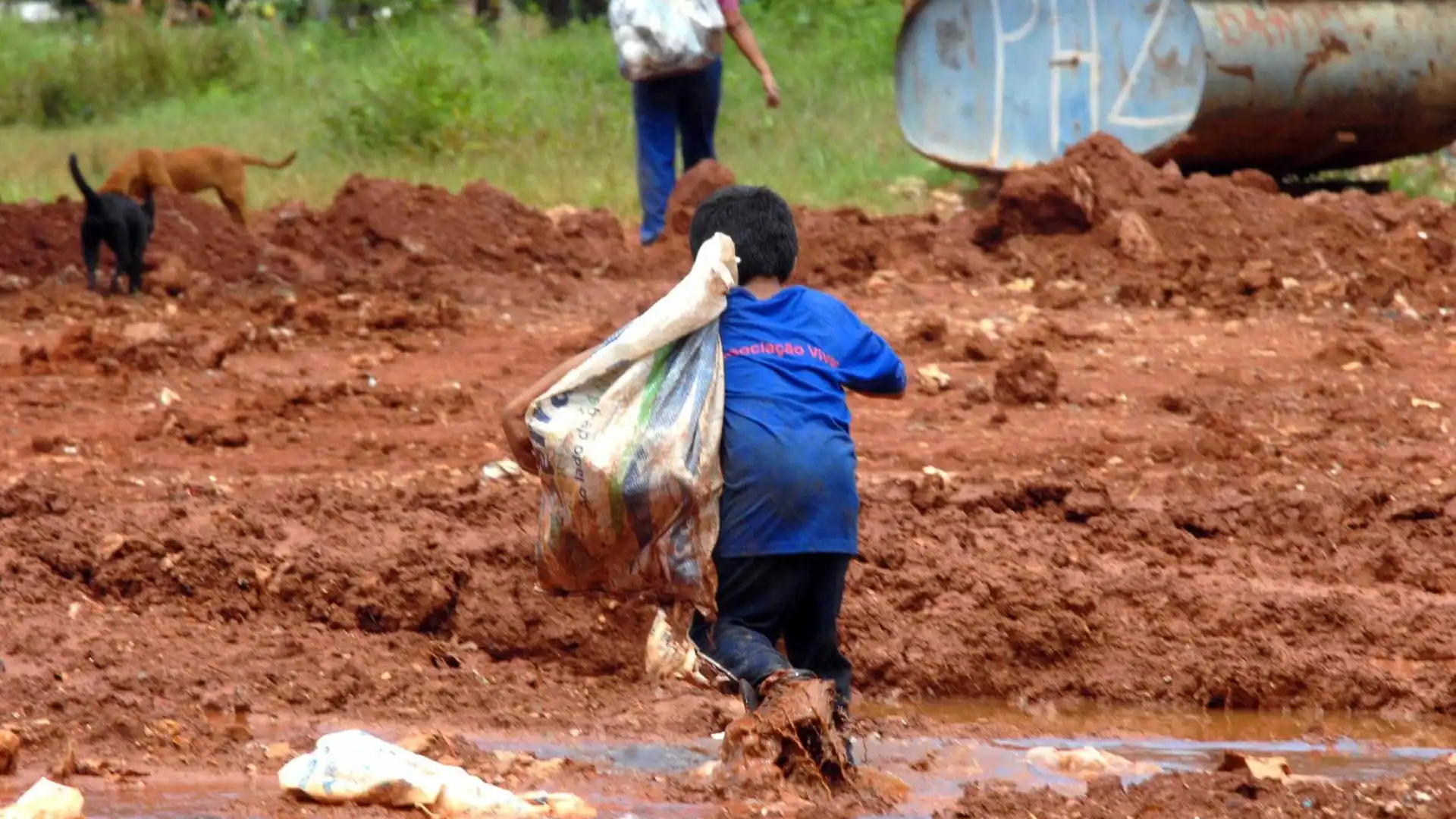 Em 2023, o Brasil viu uma queda no trabalho infantil. Entenda os dados e desafios em relação a essa realidade